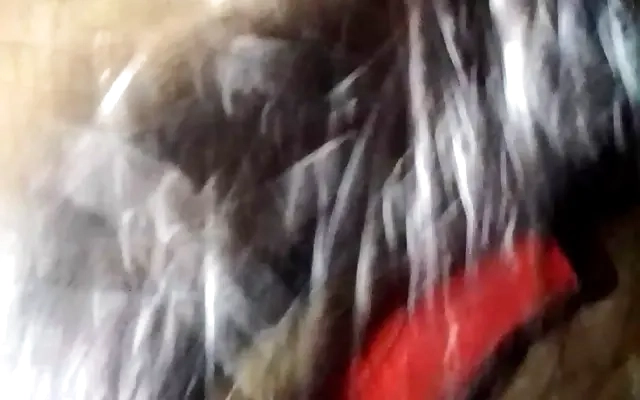 When my stepdad touched my legs, I got so turned on. I knew it wouldn&rsquo;t stop there he was dying to fuck me. I won&rsquo;t be able to hold back; I&rsquo;ll end up giving in to him completely