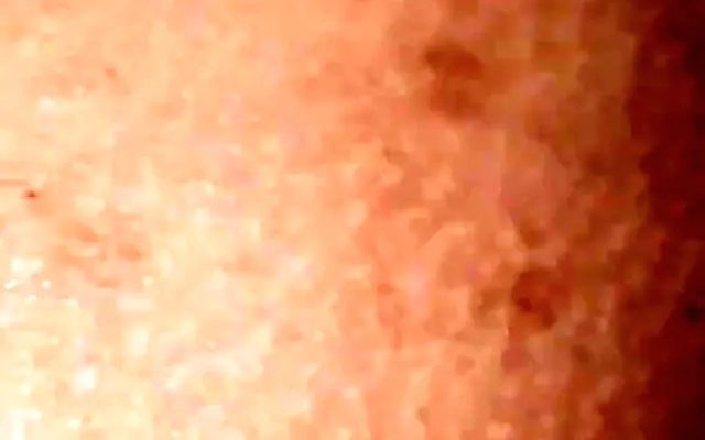 NaughtyNinja