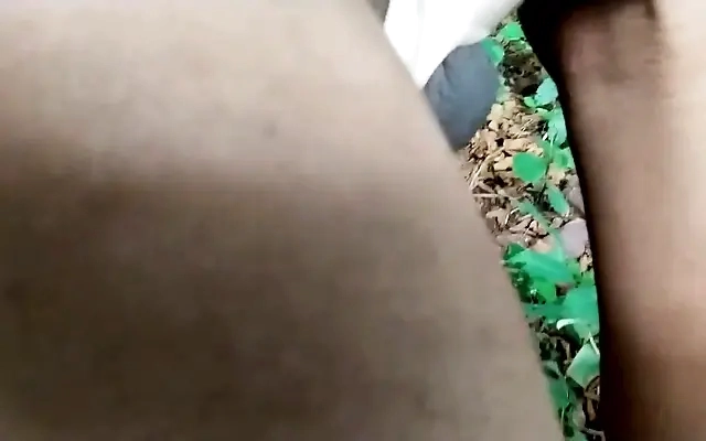 Indian Desi maid pussy Fucking on clear Hindi audio